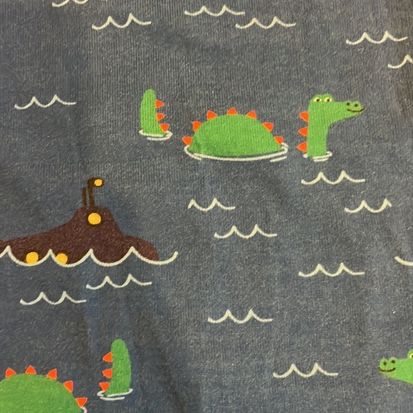 Hanna Andersson 2 piece Jammie’s - Picture 2 of 2